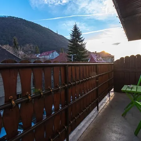 Lua Solis With Mt Tampa Views In The Old Town