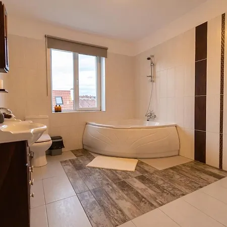 Apartment Lua Solis With Mt Tampa Views In The Old Town *