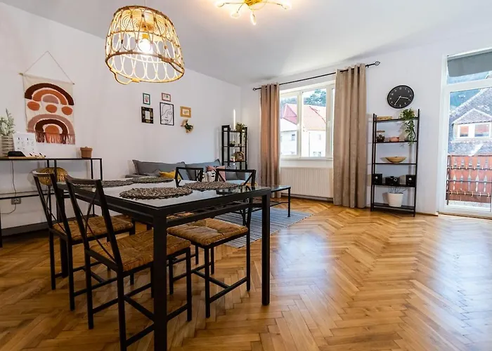 Lua Solis With Mt Tampa Views In The Old Town