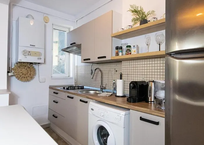 Lua Solis With Mt Tampa Views In The Old Town